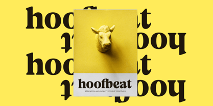 Volkgen Migario Font Poster 4