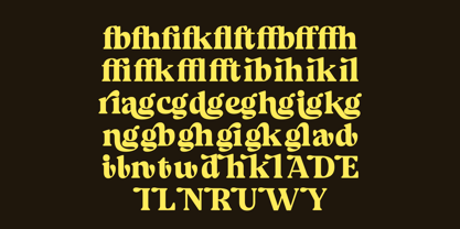 Volkgen Migario Font Poster 13