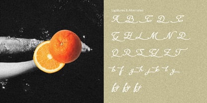 La Garpia Font Poster 2