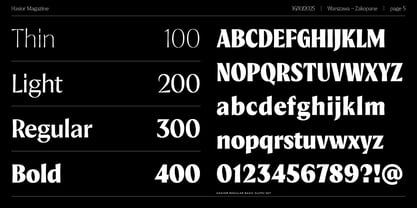 Hasior Font Poster 3