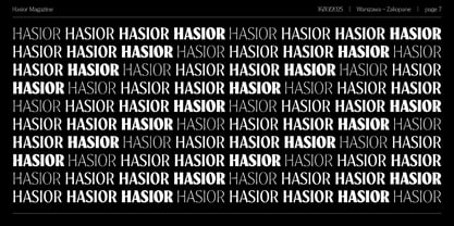 Hasior Font Poster 4