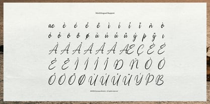 Moonlit Muse Font Poster 11