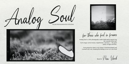 Moonlit Muse Font Poster 4
