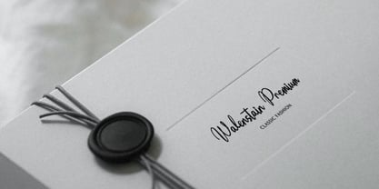 Moonlit Muse Font Poster 7