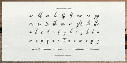 Moonlit Muse Font Poster 12