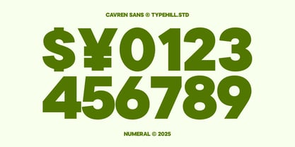 Cavren Sans Font Poster 13