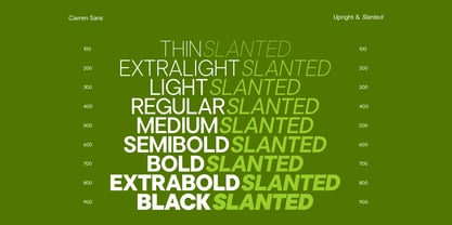 Cavren Sans Font Poster 2