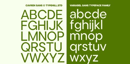 Cavren Sans Font Poster 12