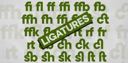 Cavren Sans Font Poster 8