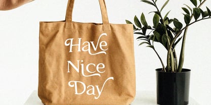 Cairde Luvia Font Poster 6