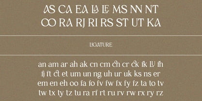 Cairde Luvia Font Poster 11