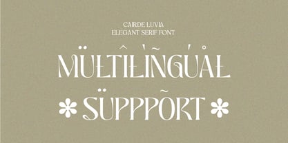 Cairde Luvia Font Poster 12
