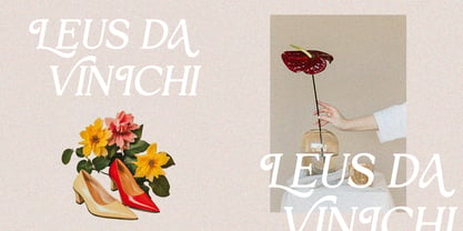 Cairde Luvia Font Poster 7
