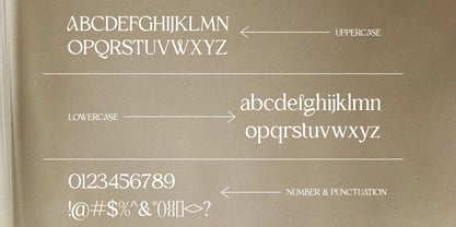 Cairde Luvia Font Poster 10