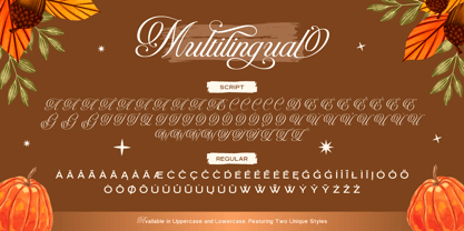 Emasline Goldenstone Font Poster 11