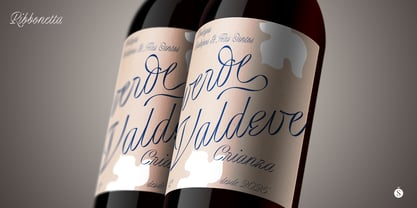 Ribbonetta Font Poster 11