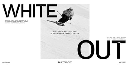 Damaris Font Poster 15