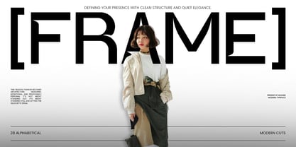 Damaris Font Poster 14