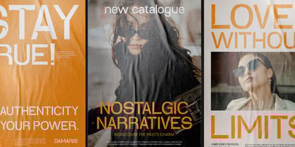 Damaris Font Poster 10