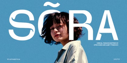 Damaris Font Poster 13