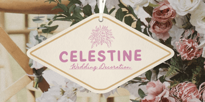 Enchanted Bride Font Poster 10