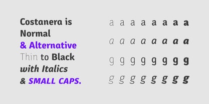 Costanera Font Poster 12
