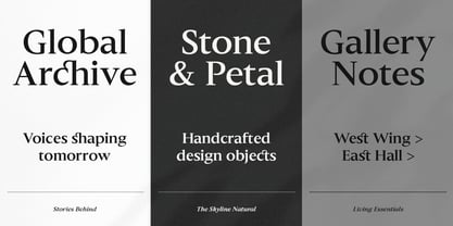 Slingora Font Poster 7