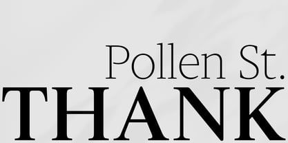 Slingora Font Poster 15