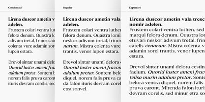 Slingora Font Poster 9