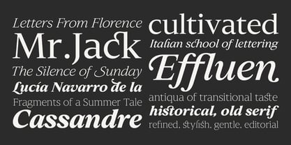 Slingora Font Poster 13