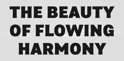 Asperia Maestro Font Poster 3