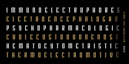 Blank Font Poster 11