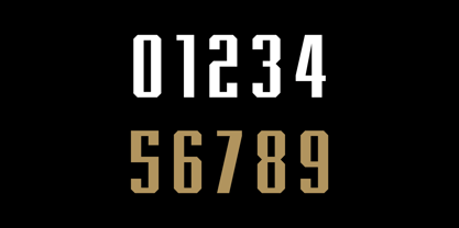 Blank Font Poster 14