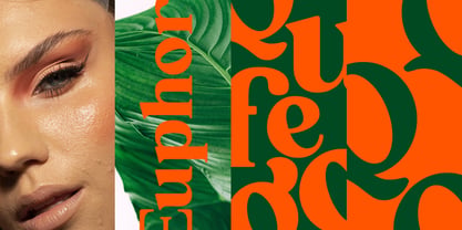 Qufego Font Poster 6
