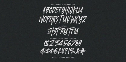 MC Twicked Panther Font Poster 6
