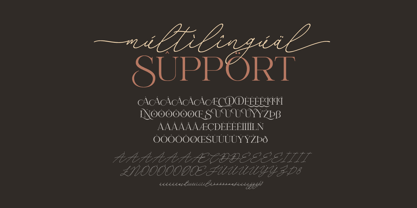 Primor Stylish Font Poster 15