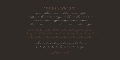 Primor Stylish Font Poster 13