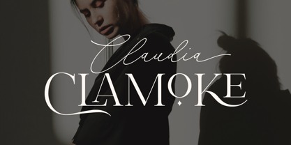 Primor Stylish Font Poster 8
