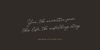 Primor Stylish Font Poster 7