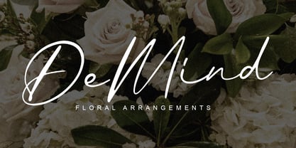 De Mind Font Poster 2