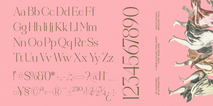 Reaons Font Poster 14