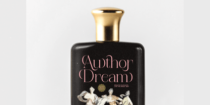 Reaons Font Poster 7