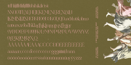 Reaons Font Poster 15