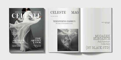 Auralic Font Poster 13