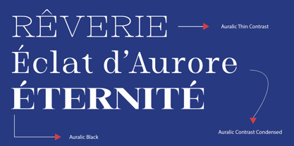 Auralic Font Poster 7