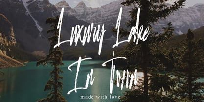 Domtrey Shinttax Font Poster 4