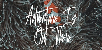 Domtrey Shinttax Font Poster 2