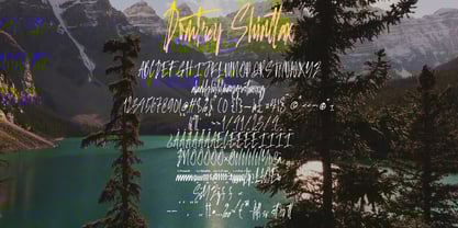 Domtrey Shinttax Font Poster 5