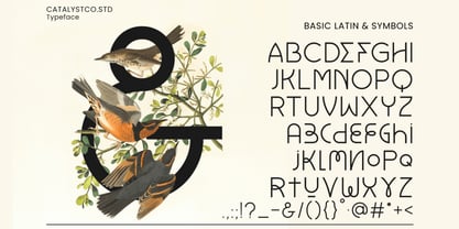Launry Font Poster 3