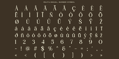 RK Avoleina Font Poster 10